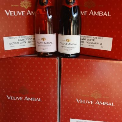 WhatsApp Image 2025-12-02 at 13.24.36